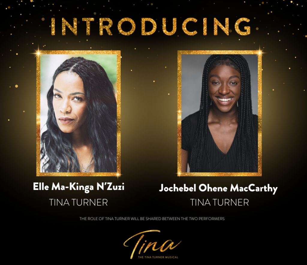 Tina Turner UK Tour