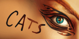 TOURING MUSICALS A-Z 44 Cats Musical Tour 2026