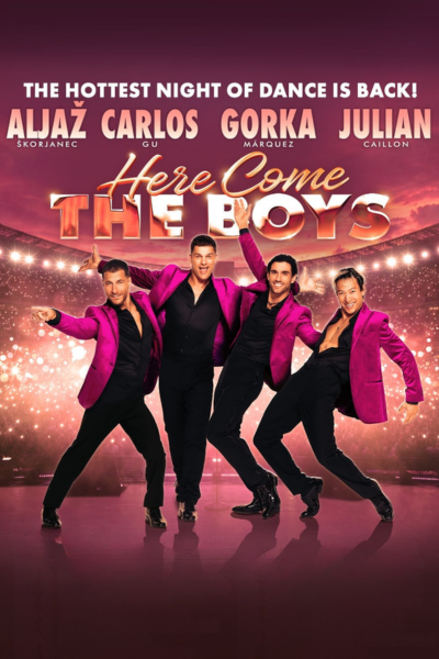 Here Come The Boys 2027 Tour